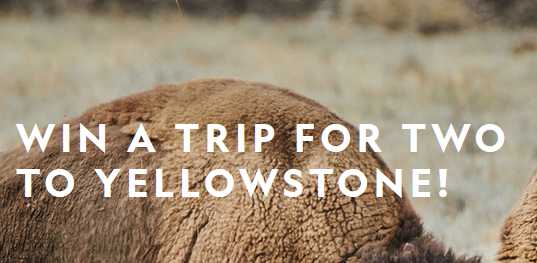 National Geographic Yellowstone Live Sweepstakes 2023