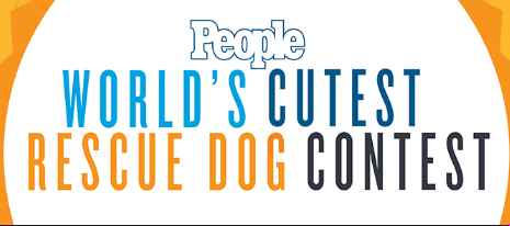 PEOPLE World's Cutest Rescue Dog Contest 2022