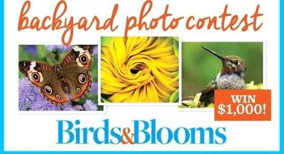 Birds And Blooms Backyard Photo Contest