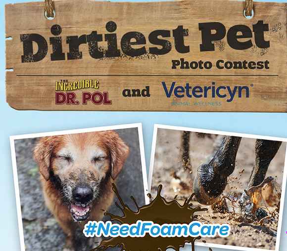 Dr. Pol and Vetericyn NeedFoamCare Contest