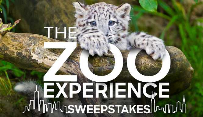 Animal Planet The Zoo Experience Sweepstakes