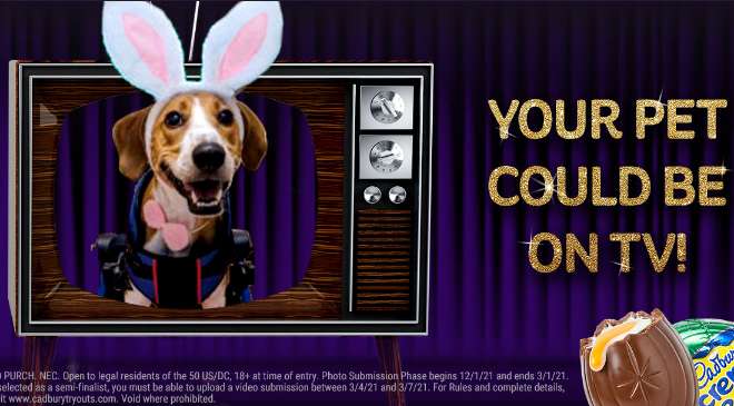 Cadbury Bunny Contest 2023 (cadburytryouts.com)