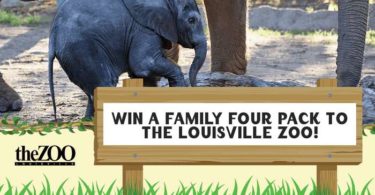 Wdrb Louisville Zoo Wild Lights Giveaway Contest 2022