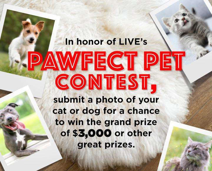 Kelly and Ryan Pet Contest 2022