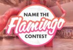 Name the Flamingo Contest 2022