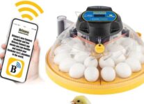 Mother Earth News Brinsea Maxi Incubator Giveaway