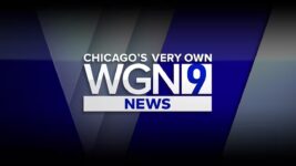 WGN Contest